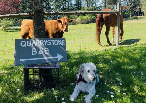 Salt Spring Island Bed & Breakfast | Quarrystone House B&B