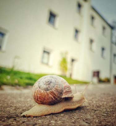 Berggieshubel Apartment | Quartier Apartment - alte Steigerbaude