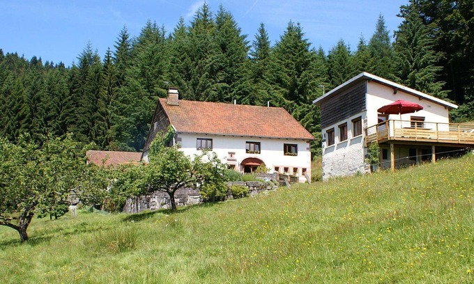 Cleurie Ski Chalet | Quiet 3 * gîte on the edge of the forest, overlooking the Moselotte valley