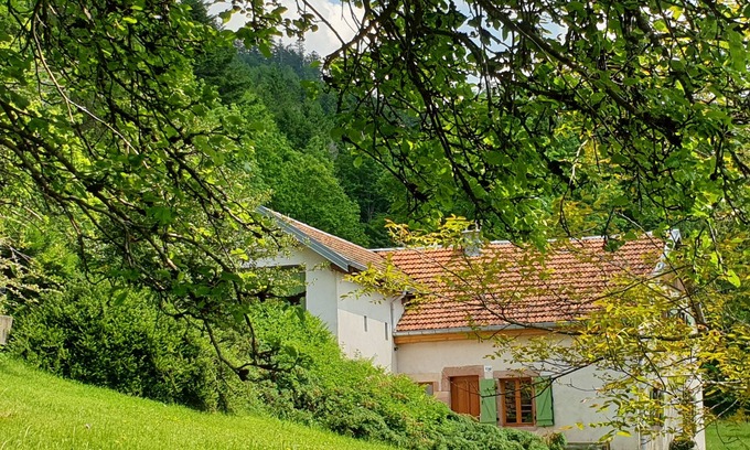 Fraize House | Quiet cottage in the countryside at 725 m