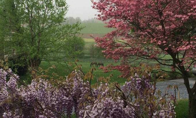 Ladiesburg Cottage | Quiet Getaway or Romantic Retreat