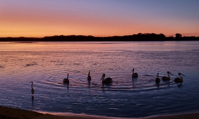 Maroochydore Apartment | QUIET STAY, at a reduced price if you look after my pug. YOU WILL LOVE IT HERE.