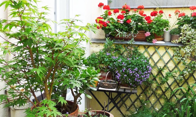 Plaisance Apartment | Quiet studio on courtyard Paris 14th near Montparnasse, 25 m2