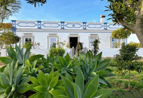 Vila Nova De Cacela House | Quinta Baltazar Casa particular