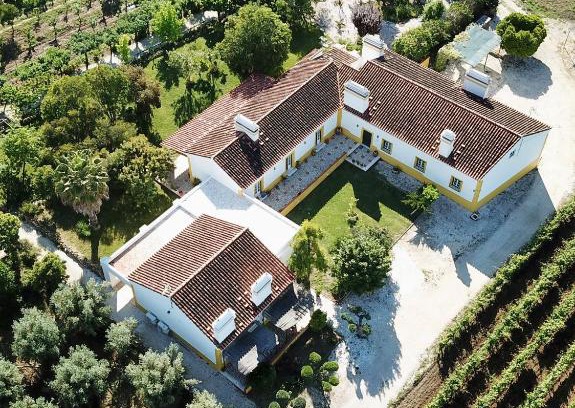 Borba House | Quinta da Trombeta