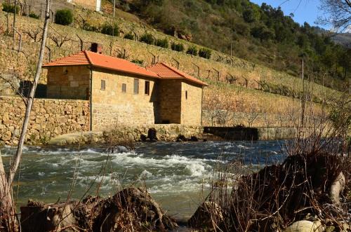 Varzea de Abrunhais House | Quinta de Recião