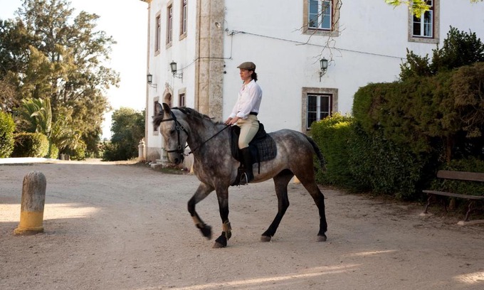 Golega House | Quinta dos Álamos Agroturismo