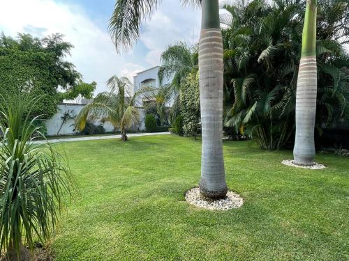 Yautepec House | Quinta las Golondrinas