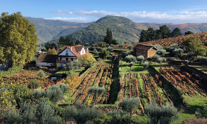 Cotas Other | Quinta Vila Rachel - Adega com Provas de Vinho