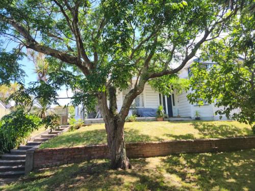 Whanganui House | Quirky Villa Homestay