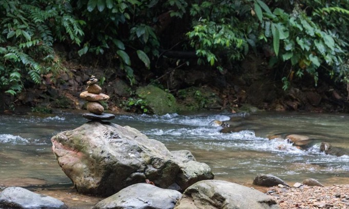 Bukit Lawang House | Rain Forest Guest House and Jungle Trekking