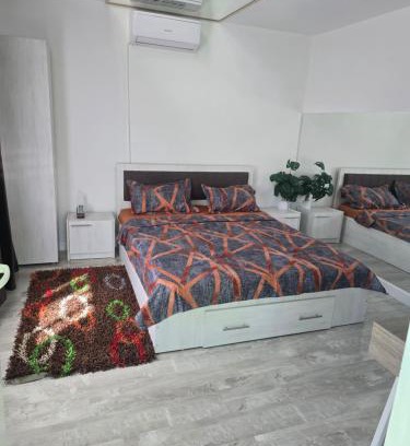 Pitesti Other | Ram