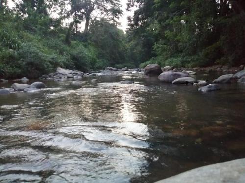 Wellawaya House | Randeniya Rest inn please call befor e booking