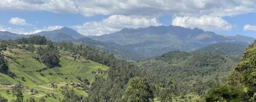 Kiamuturi Cabin | Ranges View Lodge - Aberdare Safari in Murang'a