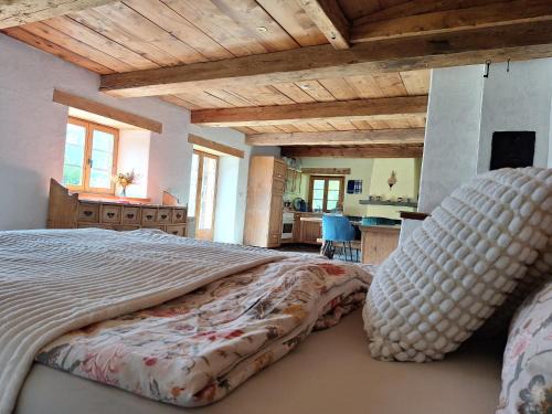 Reichenbach Apartment | Rauft-Perfekter Rückzugsort für besondere Feierlichkeiten 2500 m2 Grundstück mitten in der Natur