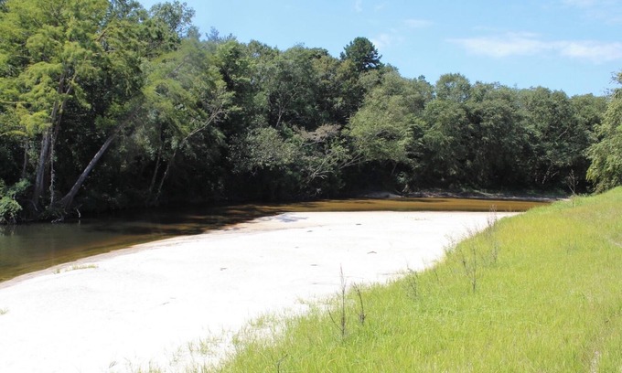 Perkinston House | Red Creek Getaway 2 houses on 500 acres, with hot tub and access to 5 sandbars!