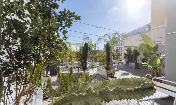 Santo Antonio Apartment | Red, Red Wine in Lisbon by Misha's Place (3B)