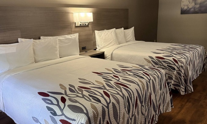 Swansea Hotel | Red Roof Inn & Suites Swansea