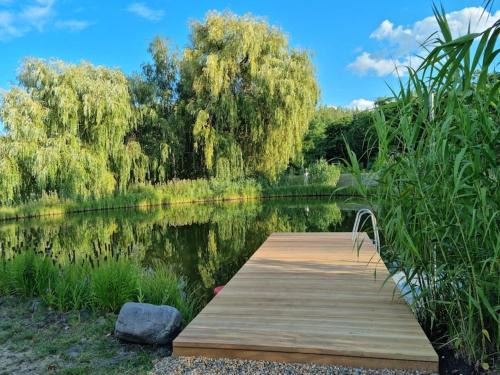 Kiskunmajsa House | Reethouse Nature Resort - Pool Sauna Swimming pond