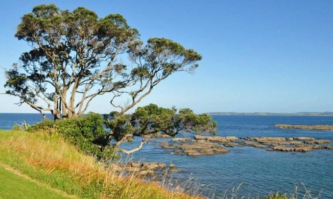 Leigh House | Relax at this Matheson Bay retreat.
