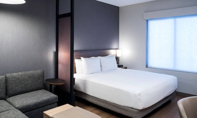 Tempe Hotel | Relax in Tempe – Pool, Gym & Views, Steps to Mill Ave, Botanical Garden, & Shops