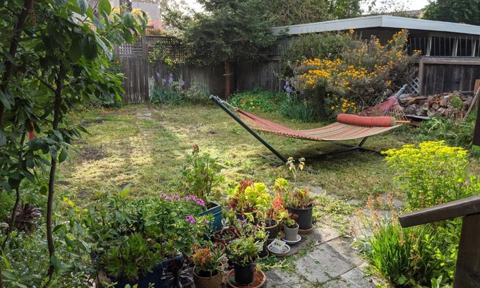 Albany House | Relax in unpretentious peaceful and authentic house with public transportation cafes and U of Berkeley close by