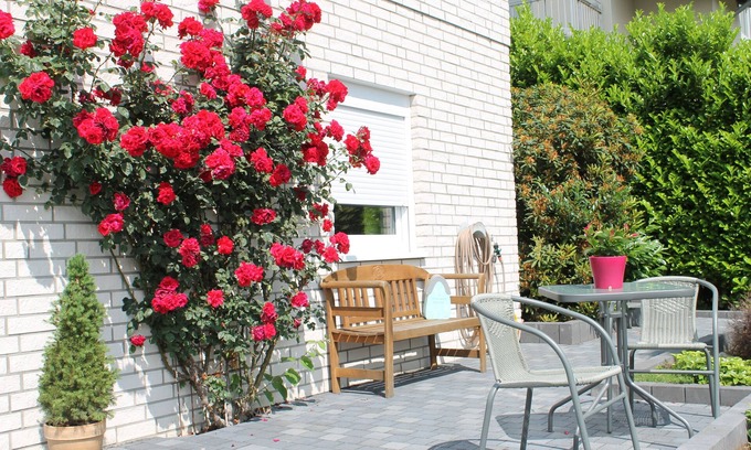 Roesrath Apartment | Relaxation near Cologne in the middle of nature