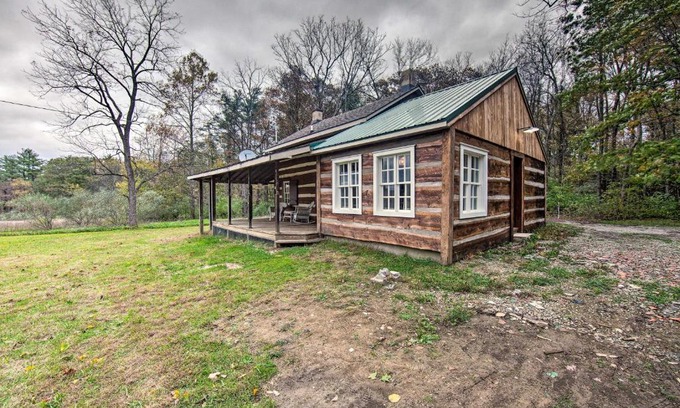 Allenwood Apartment | Remote 1901 Studio Cabin with Loft - Pets Allowed!