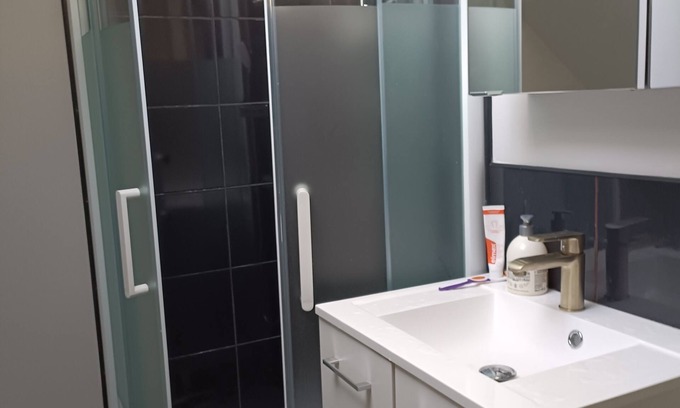 La Ferte-Saint-Aubin House | Renovated house in a charming Sologne town