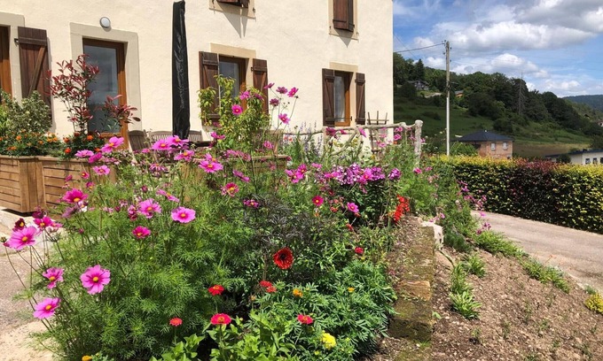 Saint-Nabord Apartment | Renovated house near Vosges, ideal for outdoor activities