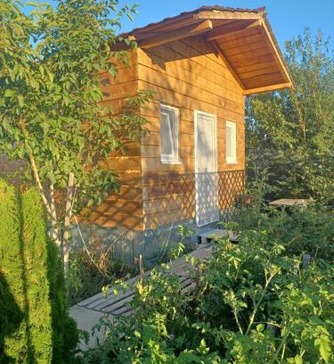 Domnesti House | Rent close to Bucharest