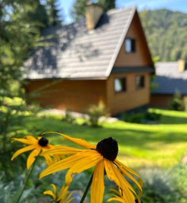 Baligrod Ski Chalet | Reset Bieszczady
