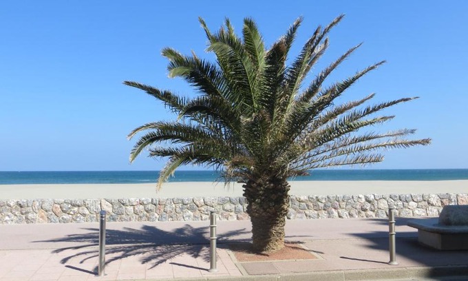 La Jetee Apartment | RESIDENCE LE NEULOS, T2 40m2 AVEC GARAGE PRIVE, 150 m de la mer, Avenue Roussillon Canet-Plage