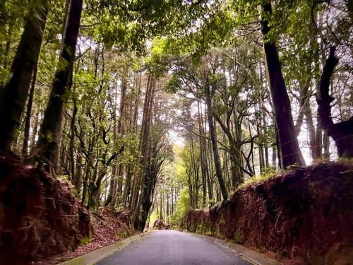 Poas Volcano National Park Apartment | Residencial de montaña Los Quetzales