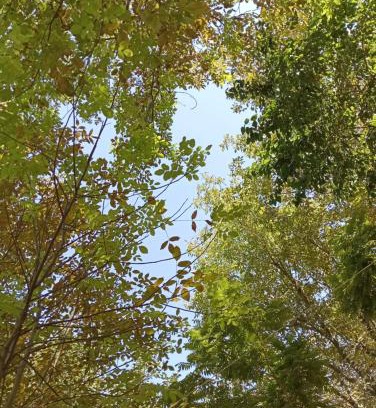 Uzbekistan Apartment | Resorts