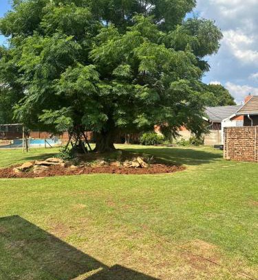 Springs House | Revitalize