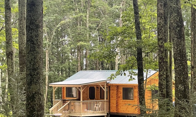 Benton Cabin | Ricketts Glen Fern View Cabin