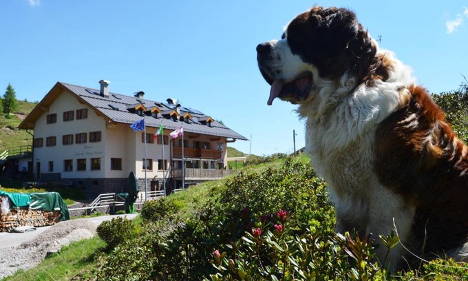 Tonadico Bed & Breakfast | Rifugio Capanna Passo Valles