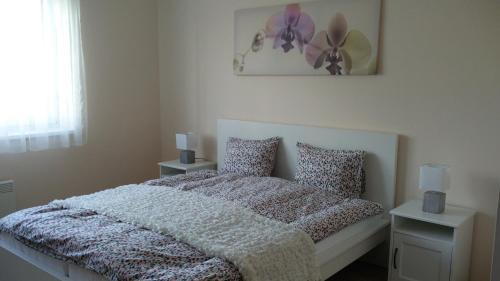Kalocsa Apartment | River Side Apartman