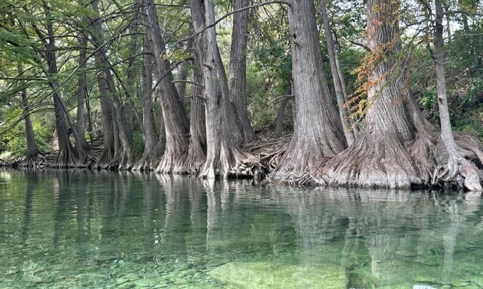 Uvalde County Cabin | Riverbend on the Frio Cabin 2