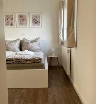 Brno-Lisen Apartment | RK Apartment Holzova
