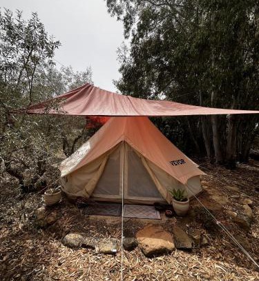Quartu Sant'Elena Other | Romance Tent In The Eucaliptus