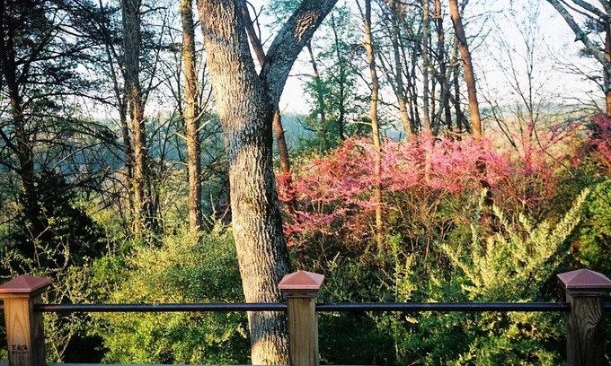 Buena Vista Cabin | Romantic 1860s Log Cabin