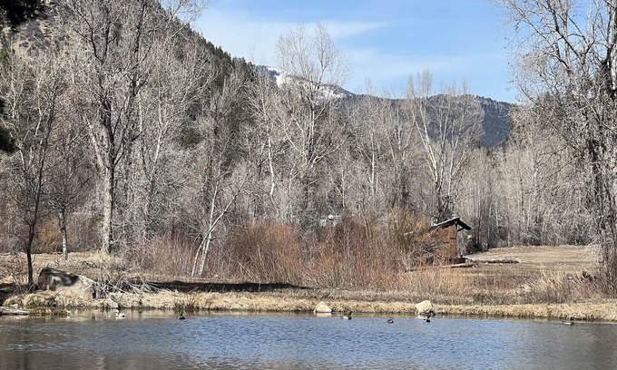 Durango Cabin | Romantic Cabin with Incredible Views, 5 miles to Durango on Lightner Creek