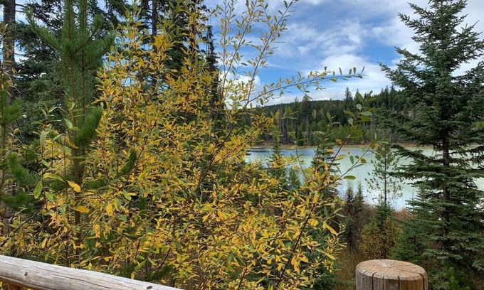 Lac Le Jeune Cabin | Romantic Log Cabin Getaway