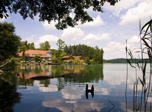 Feldberger Seenlandschaft Hotel | Romantischer Seegasthof & Hotel Altes Zollhaus