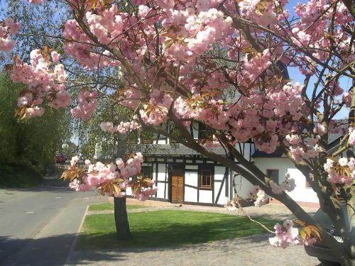 Frankweiler House | Romantisches Fachwerkhaus Zwischen Rhein Und Mosel