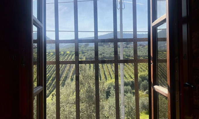 Santa Cristina a Mezzana Bed & Breakfast | Room in B&B - Alessio Room Overlooking the Vineyards of Tuscany