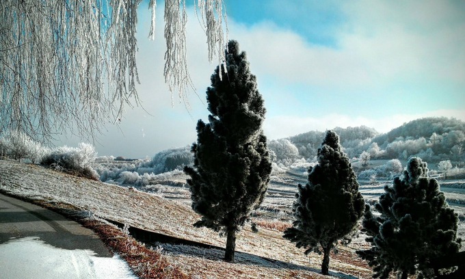 Samobor House | Room in Studio - Vacation in Croatia's Countryside