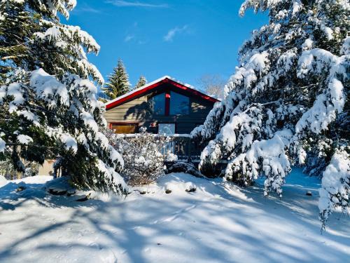 Roscoe House | Roscoe Cabin Pet friendly